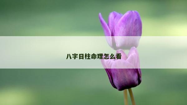 八字日柱命理怎么看 八字日柱命理怎么看