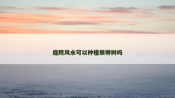 庭院風水可以種植銀柳樹嗎