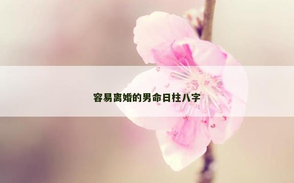 容易離婚的男命日柱八字
