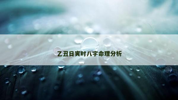 乙丑日寅時八字命理分析