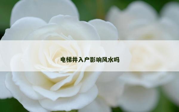 電梯井入戶影響風水嗎