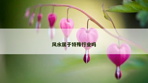風水屬于特殊行業嗎