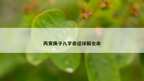 丙寅庚子八字命運詳解女命
