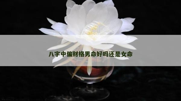 八字中偏財格男命好嗎還是女命
