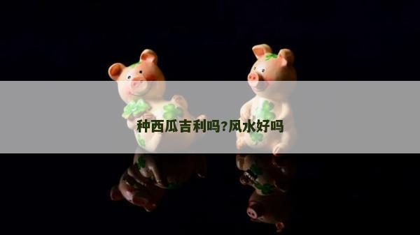 種西瓜吉利嗎?風(fēng)水好嗎