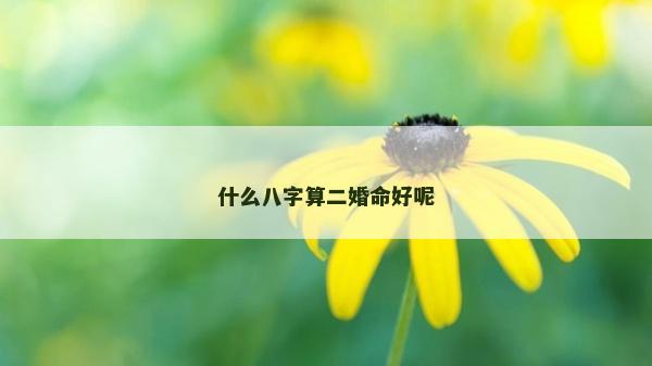 什么八字算二婚命好呢 什么八字算二婚命好呢