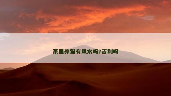 家里養(yǎng)貓有風(fēng)水嗎?吉利嗎