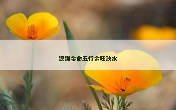 釵釧金命五行金旺缺水