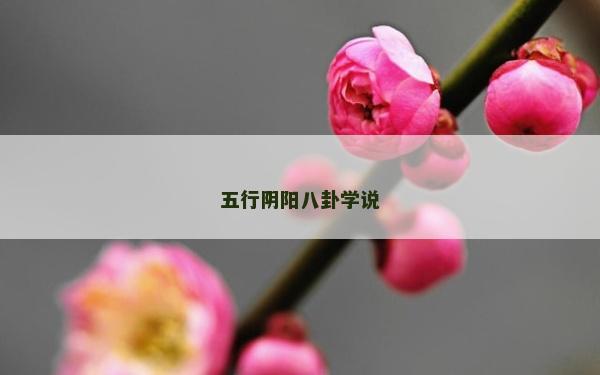 五行陰陽八卦學(xué)說