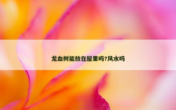 龍血樹能放在屋里嗎?風水嗎
