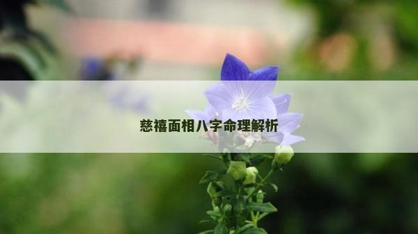 慈禧面相八字命理解析