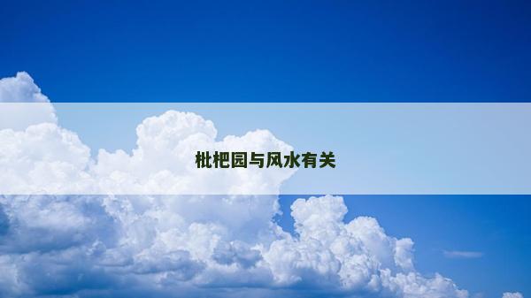 枇杷園與風水有關