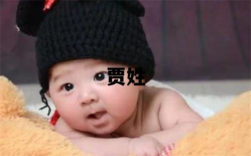 賈姓優(yōu)美大方的女寶寶名字
