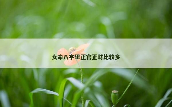 女命八字里正官正財比較多