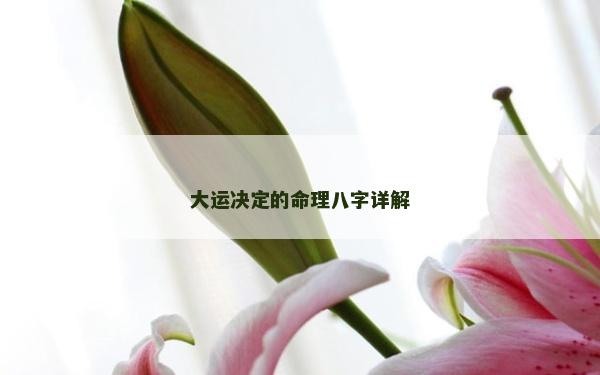 大運決定的命理八字詳解
