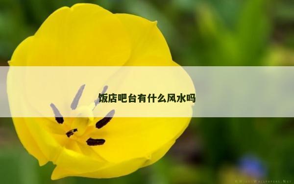 飯店吧臺(tái)有什么風(fēng)水嗎