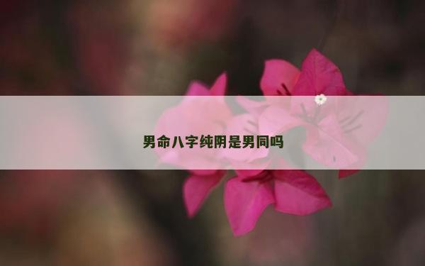 男命八字純陰是男同嗎