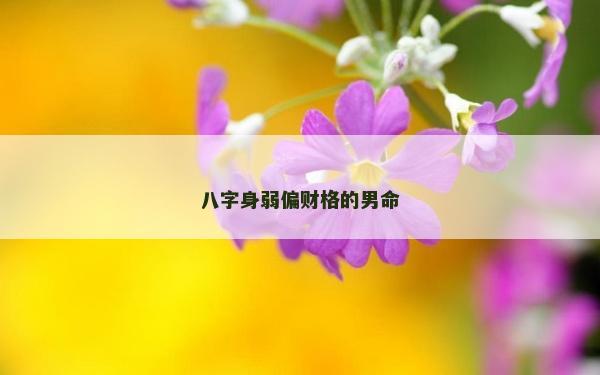八字身弱偏財(cái)格的男命 八字身弱偏財(cái)格的男命