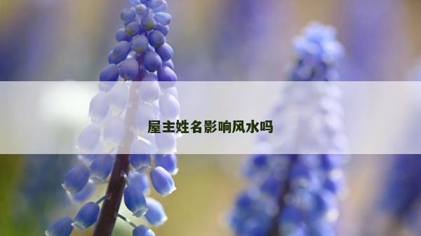 屋主姓名影響風水嗎