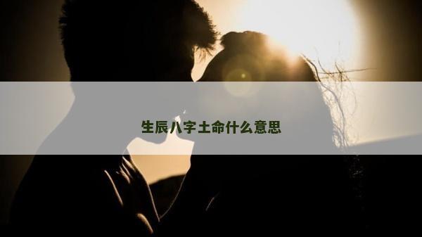 生辰八字土命什么意思