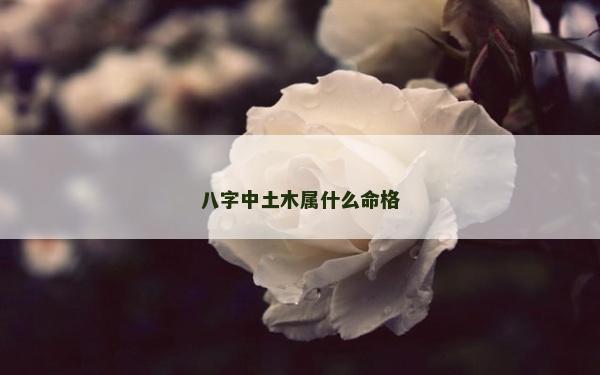 八字中土木屬什么命格