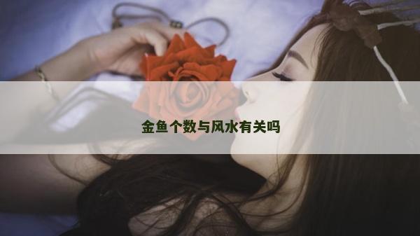 金魚個數與風水有關嗎