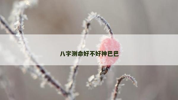 八字測命好不好神巴巴