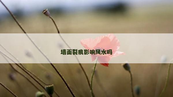 墻面裂痕影響風(fēng)水嗎