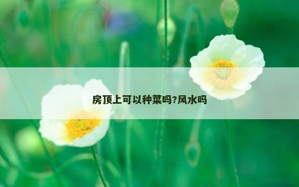 房頂上可以種菜嗎?風水嗎