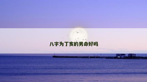 八字為丁亥的男命好嗎