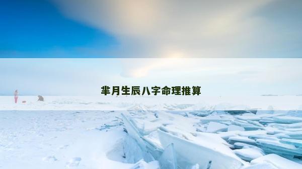 羋月生辰八字命理推算