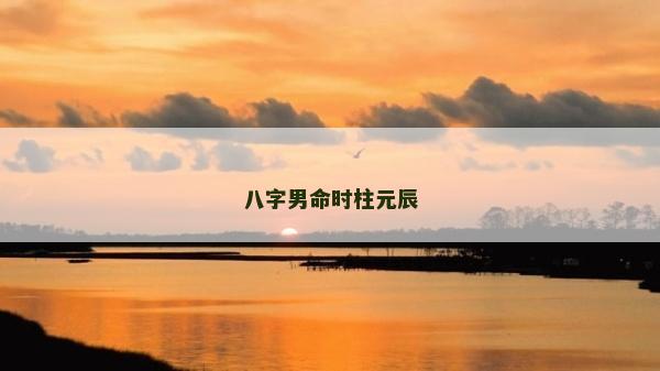 八字男命時柱元辰
