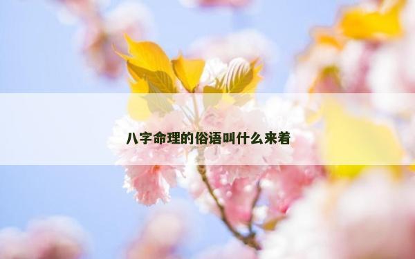 八字命理的俗語(yǔ)叫什么來(lái)著 八字命理的俗語(yǔ)叫什么來(lái)著