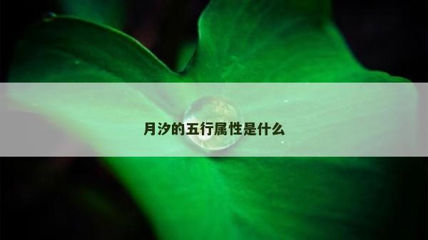 月汐的五行屬性是什么