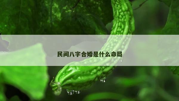 民間八字合婚是什么命局