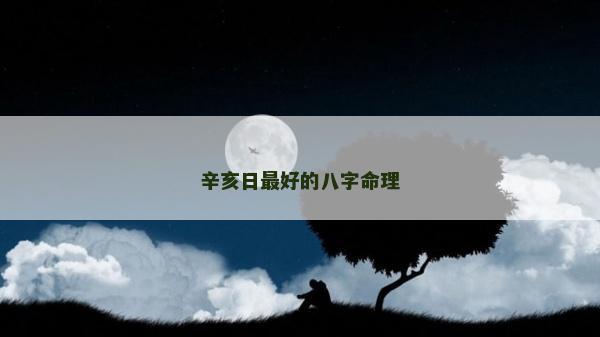 辛亥日最好的八字命理