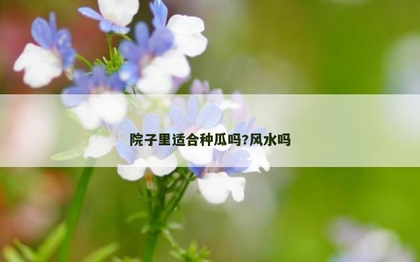 院子里適合種瓜嗎?風水嗎