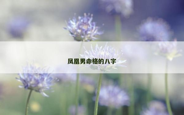 鳳凰男命格的八字