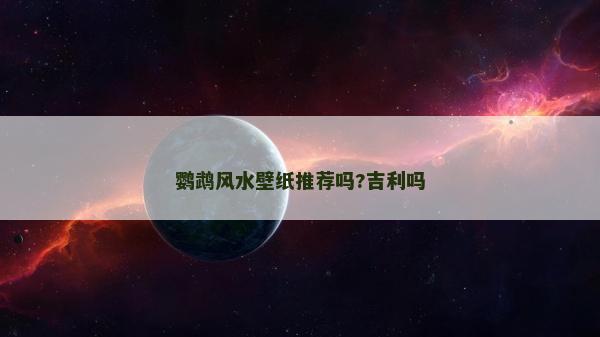 鸚鵡風水壁紙推薦嗎?吉利嗎 鸚鵡風水壁紙推薦嗎?吉利嗎