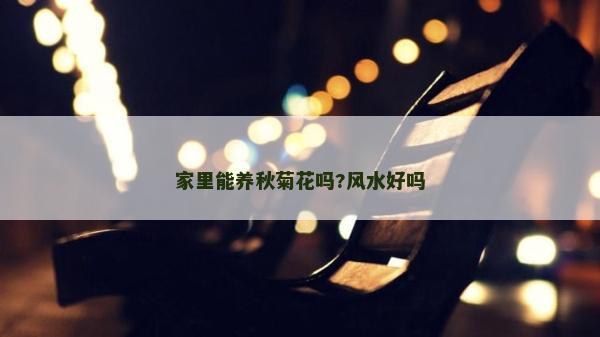 家里能養秋菊花嗎?風水好嗎