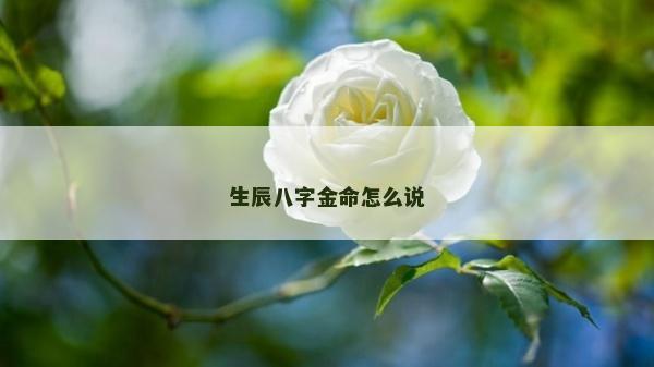 生辰八字金命怎么說