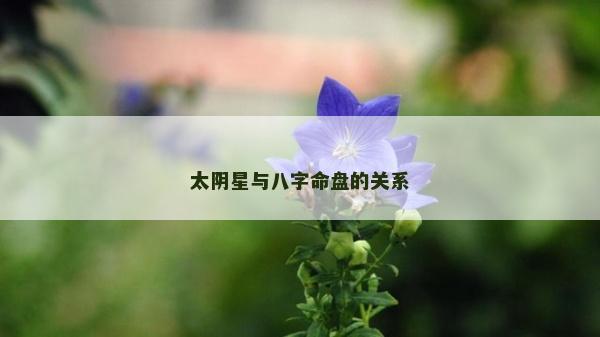 太陰星與八字命盤的關系