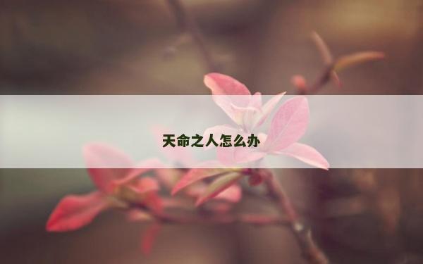 天命之人怎么辦