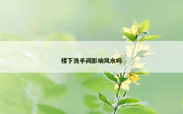 樓下洗手間影響風水嗎