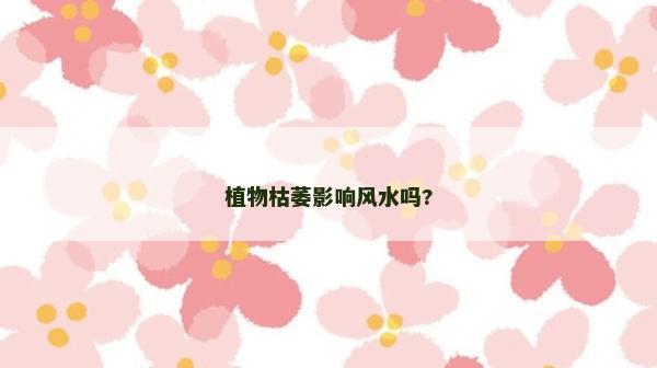 植物枯萎影響風水嗎?