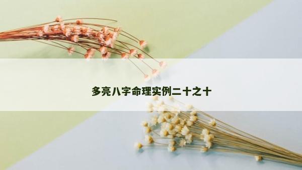 多亮八字命理實(shí)例二十之十