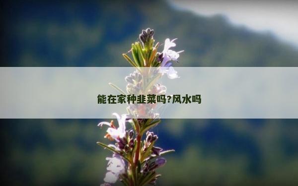 能在家種韭菜嗎?風(fēng)水嗎