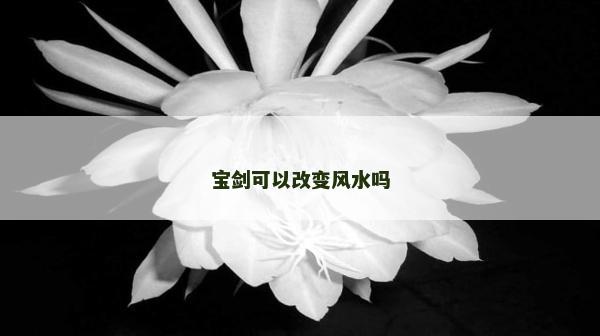 寶劍可以改變風水嗎