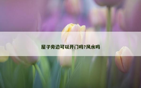 屋子旁邊可以開門嗎?風(fēng)水嗎