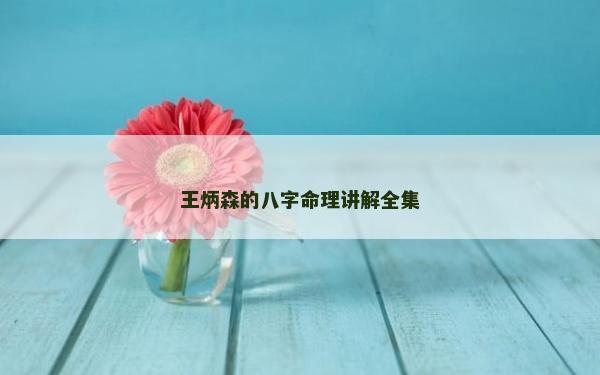 王炳森的八字命理講解全集